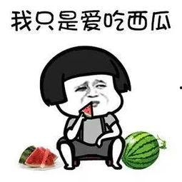 娱乐瓜都是在哪里吃的